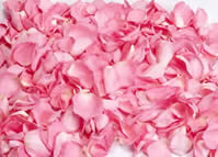 preserved rose petals